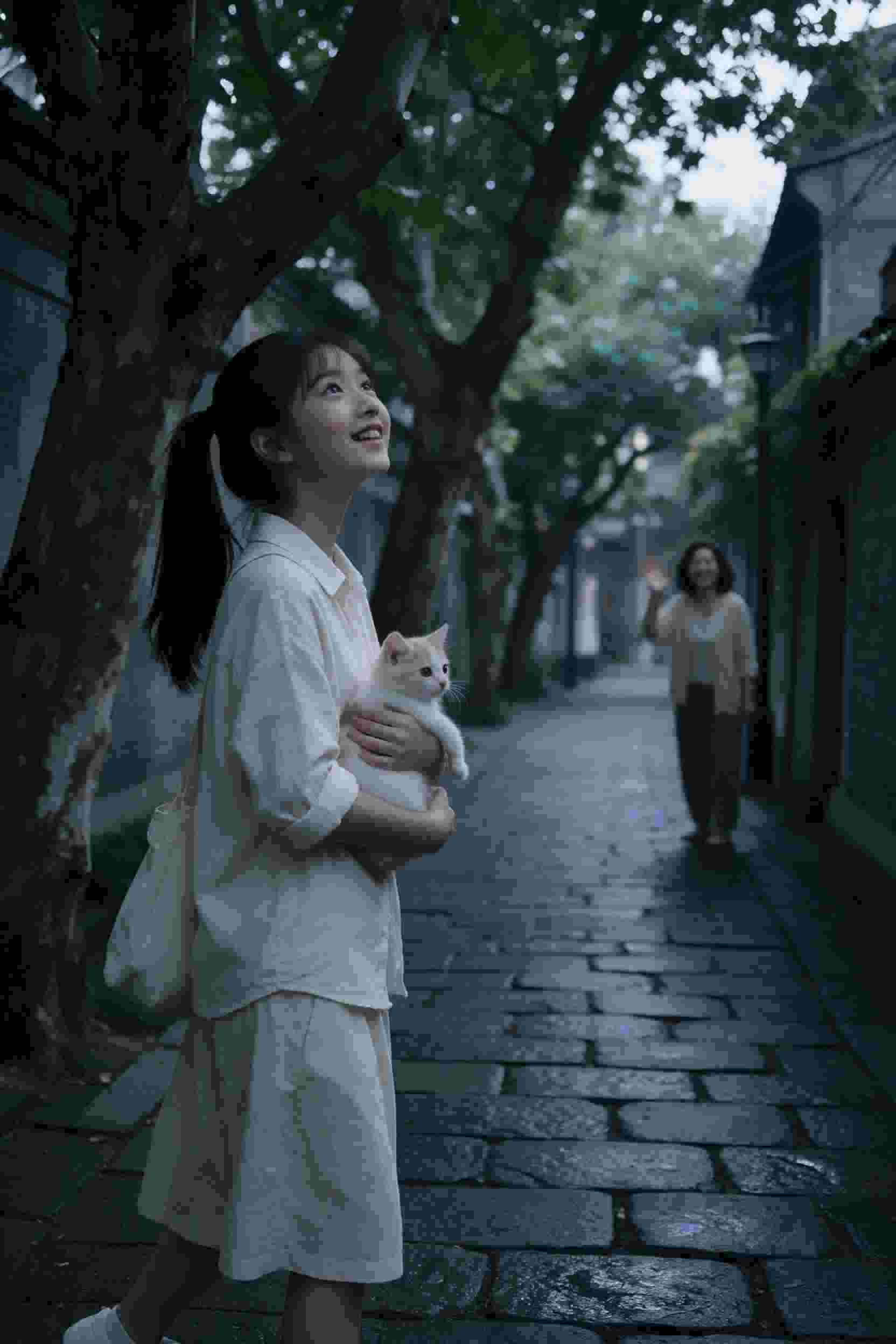 动画封面