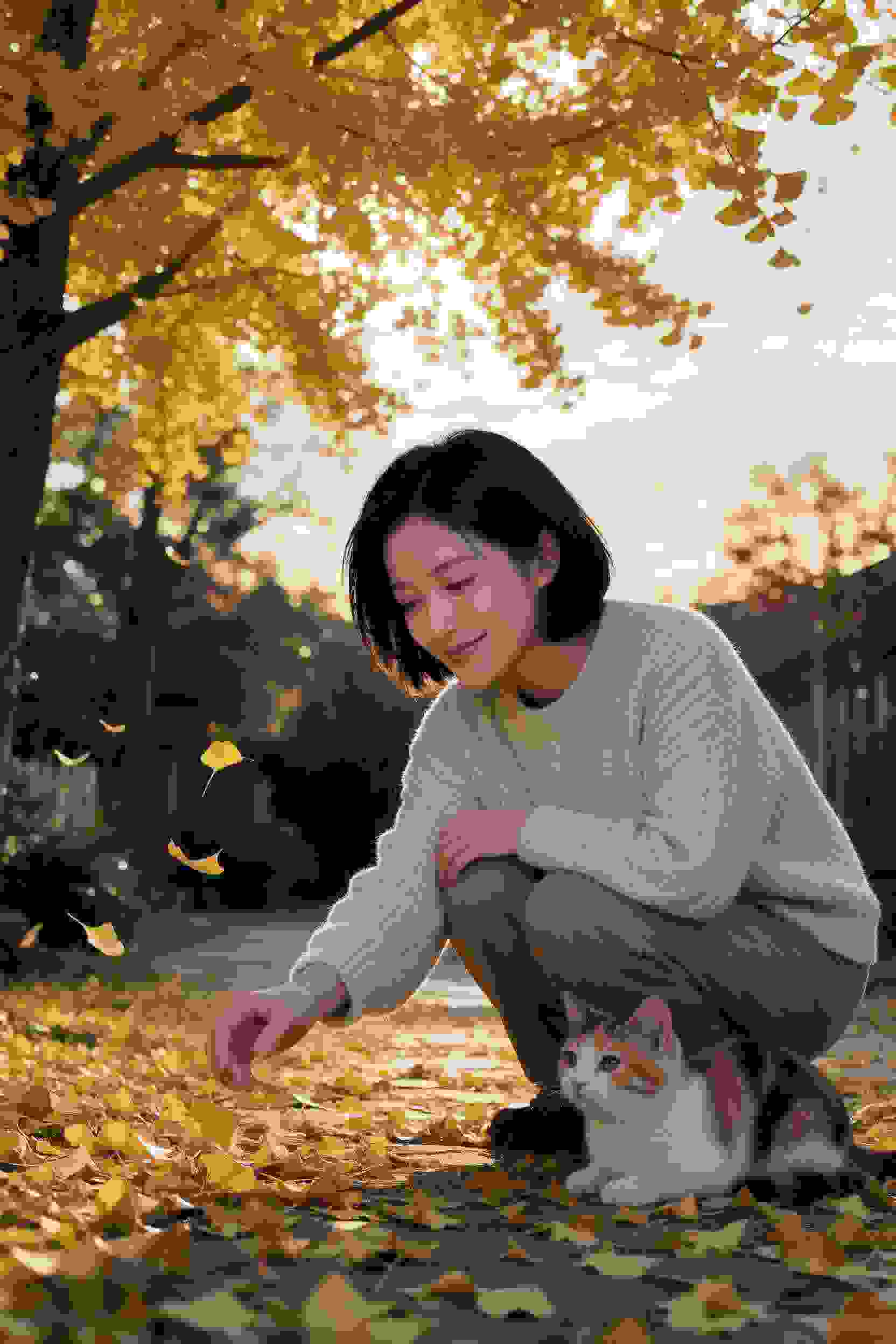 动画封面
